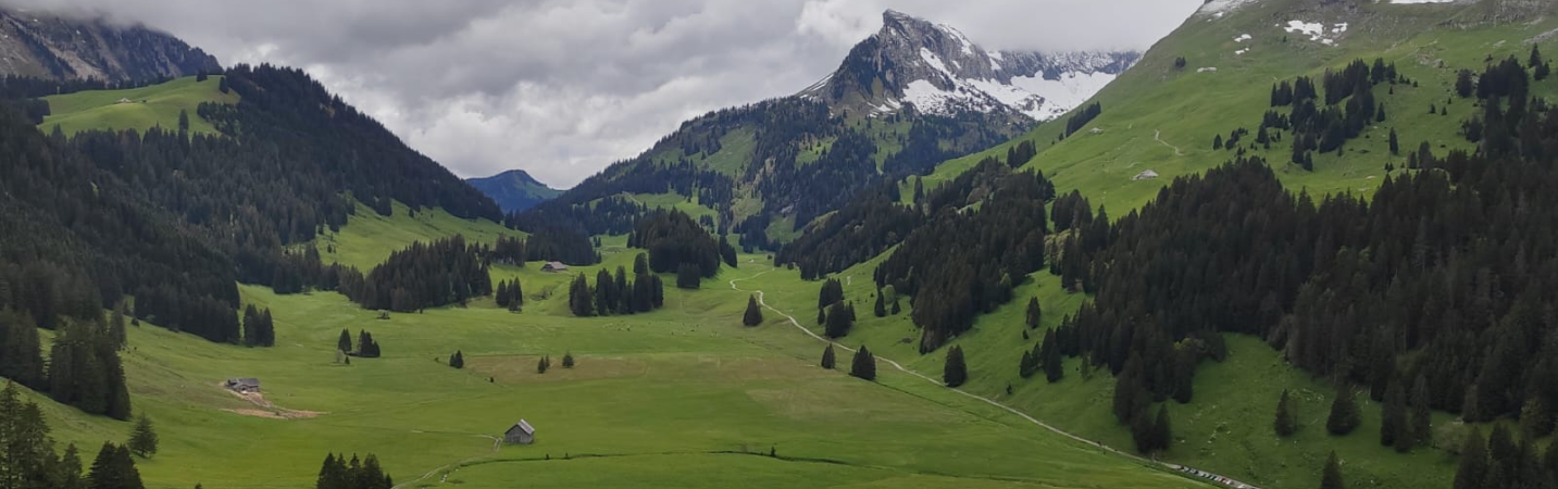 Les Meilleures Randonnées dans la Gruyère, Canton de Fribourg, Suisse
