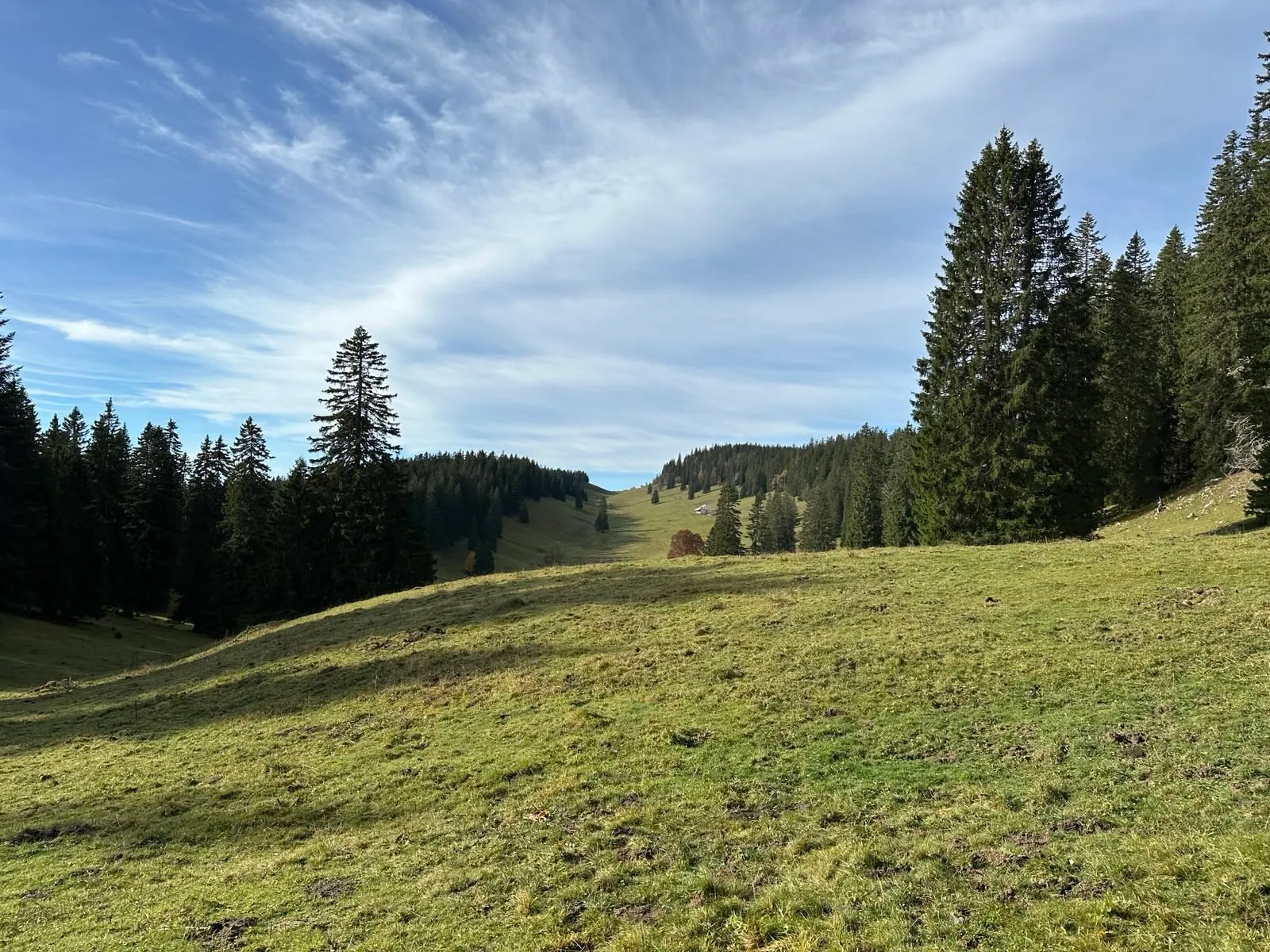 A la découverte des saveurs du Jura