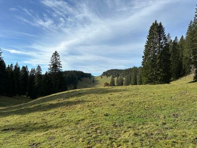 A la découverte des saveurs du Jura