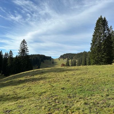 A la découverte des saveurs du Jura