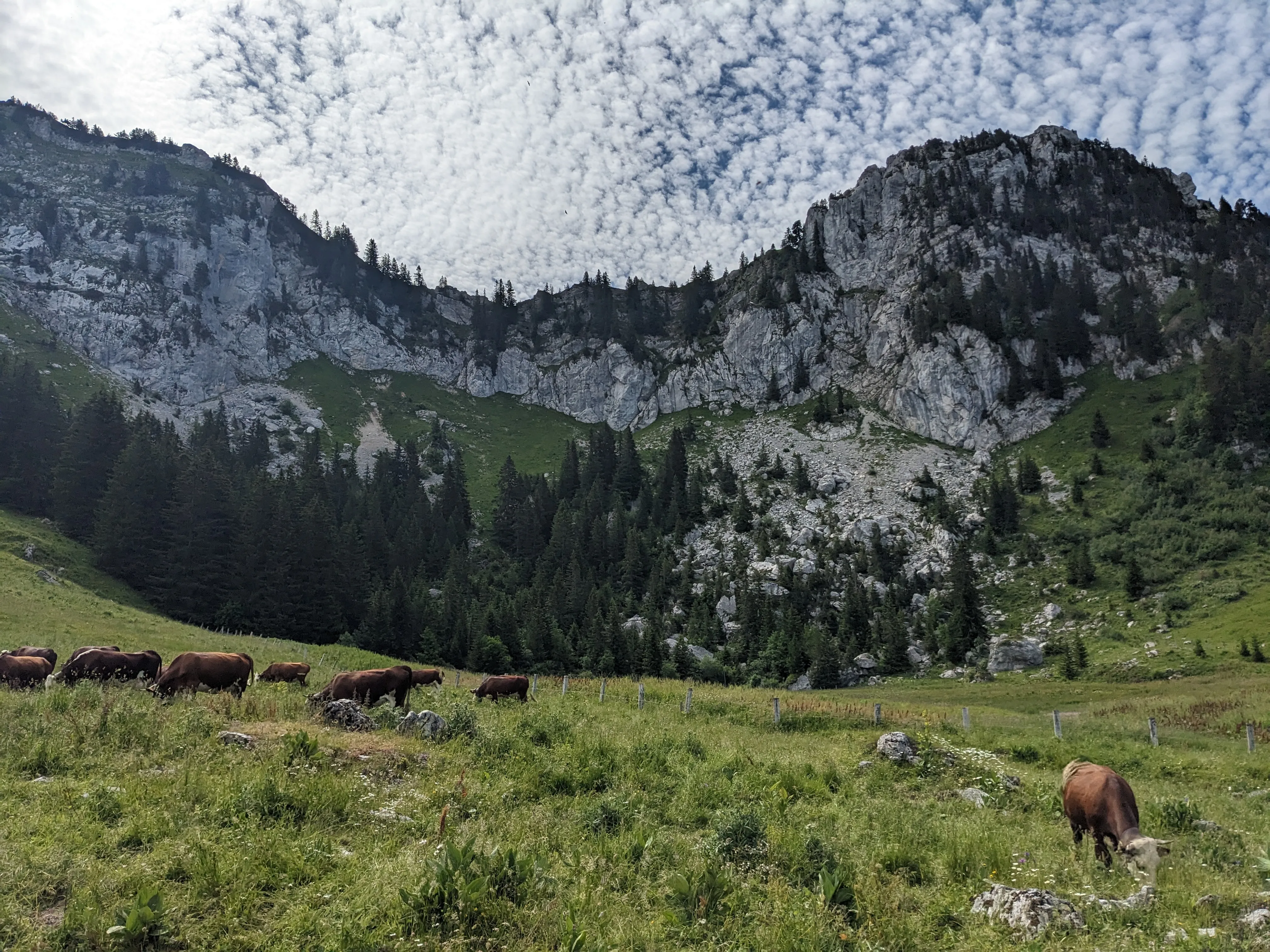Randonnée à la journée