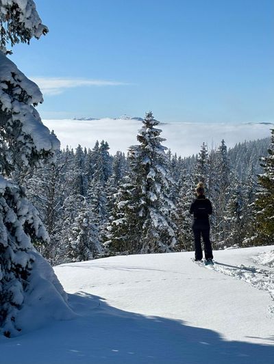 Sortie Raquettes à la Barillette