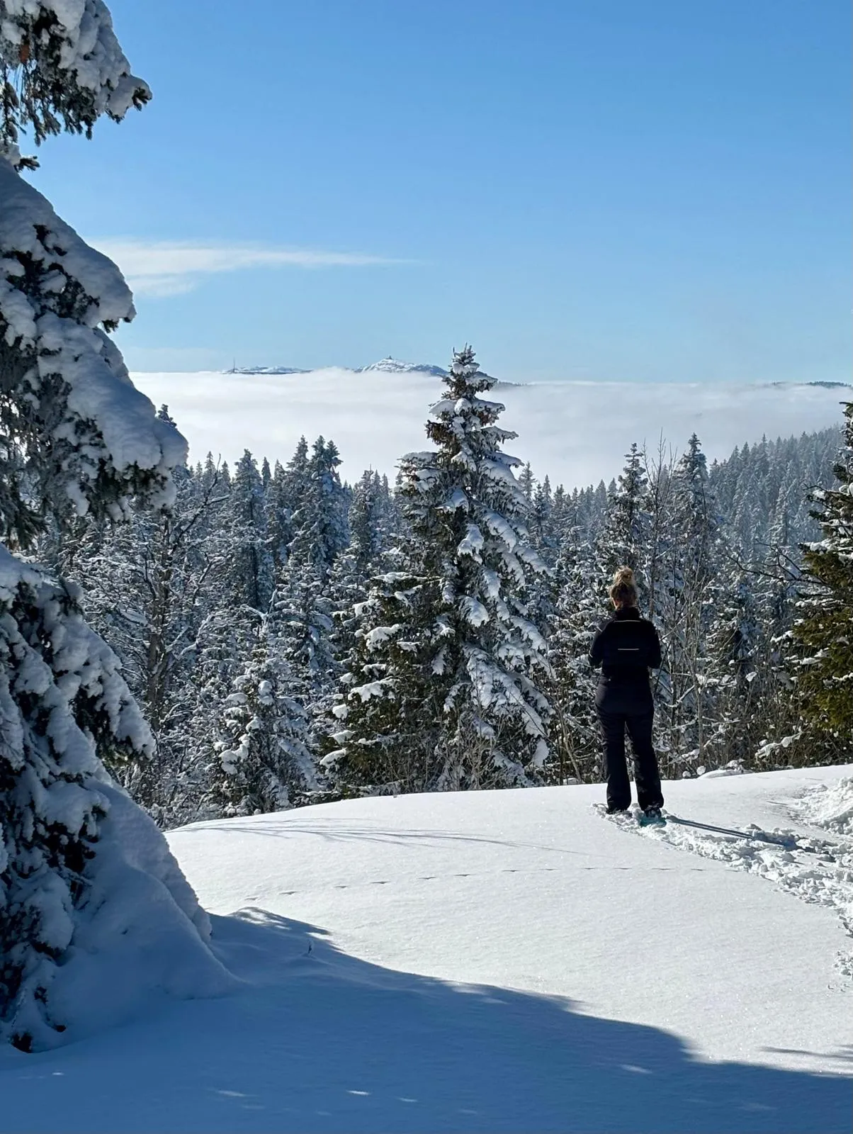 Sortie Raquettes à la Barillette