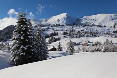 Sortie Raquettes au Col des Mosses