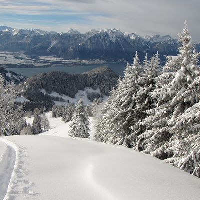 Sortie Raquettes au Vallon d'Orgevaux